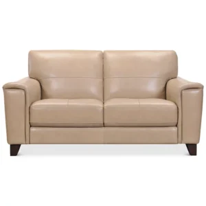 Brayna Classic Leather Loveseat
