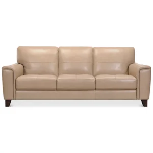 Brayna Classic Leather Sofa